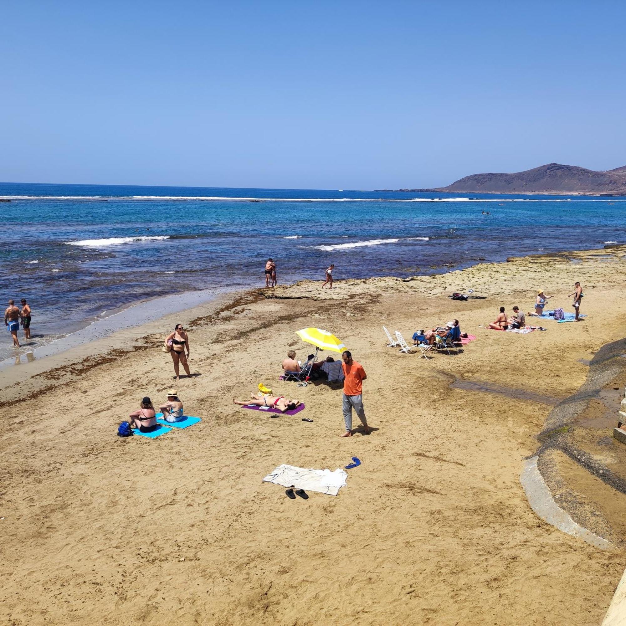 Mirlo Canteras Las Palmas de Gran Canárias Exterior foto